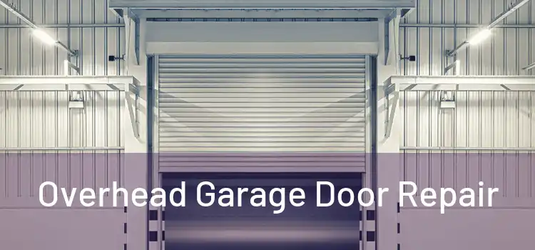  Overhead Garage Door Repair 